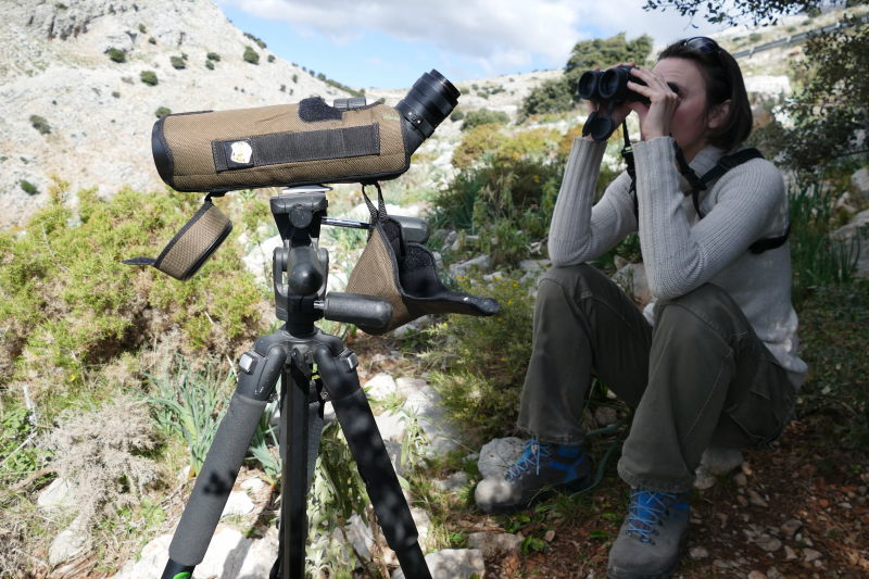 Censando aves con telescopio y prismáticos. Serranía Ronda. AEA Bosque Animado