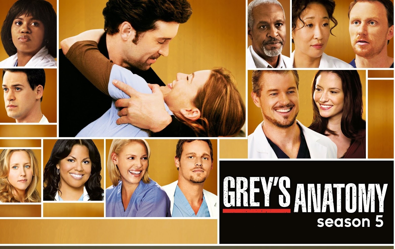 TV Series 911 Grey's Anatomy Complete Season 5