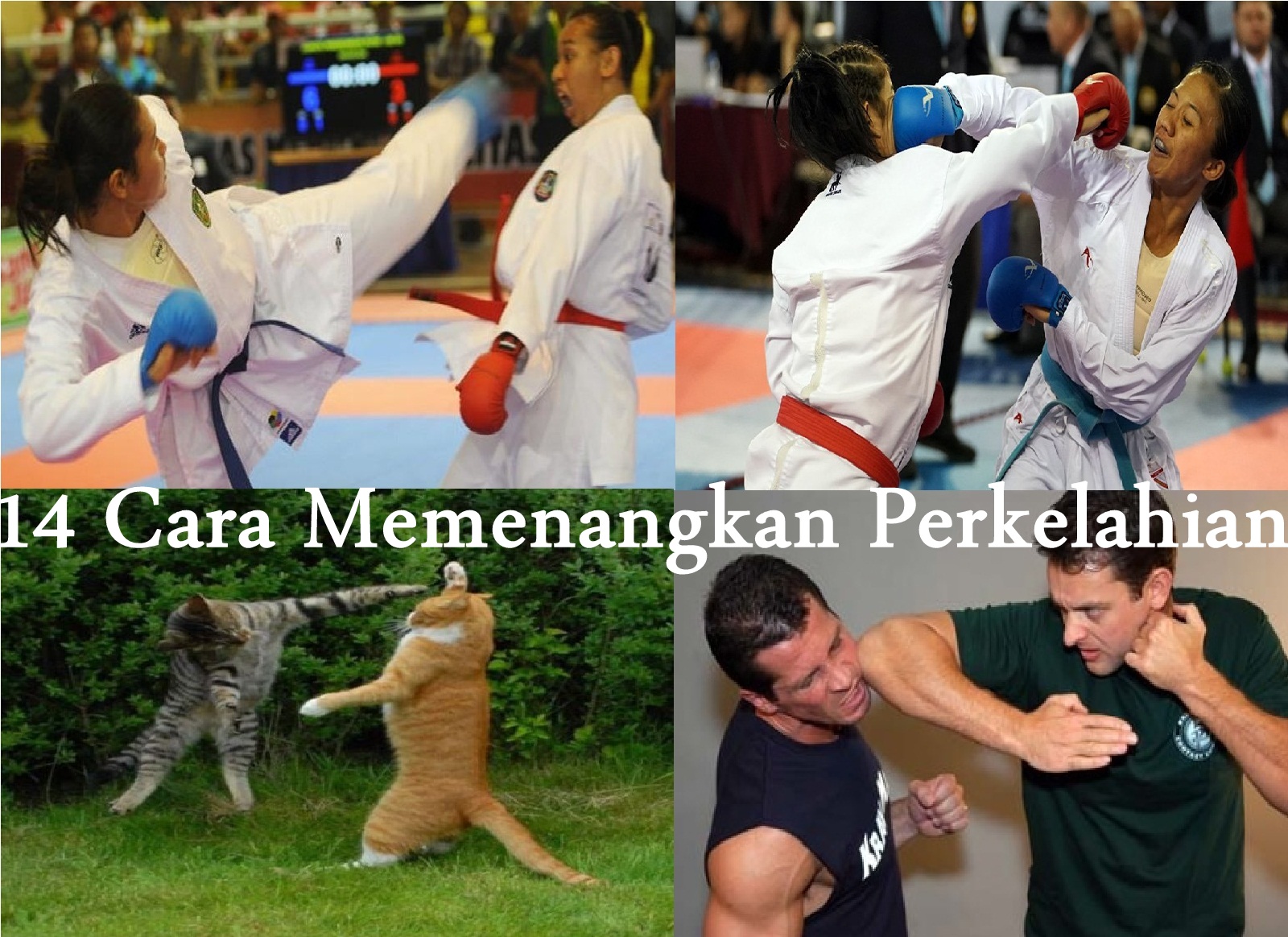 14 Cara Memenangkan Perkelahian dengan Tangan Kosong