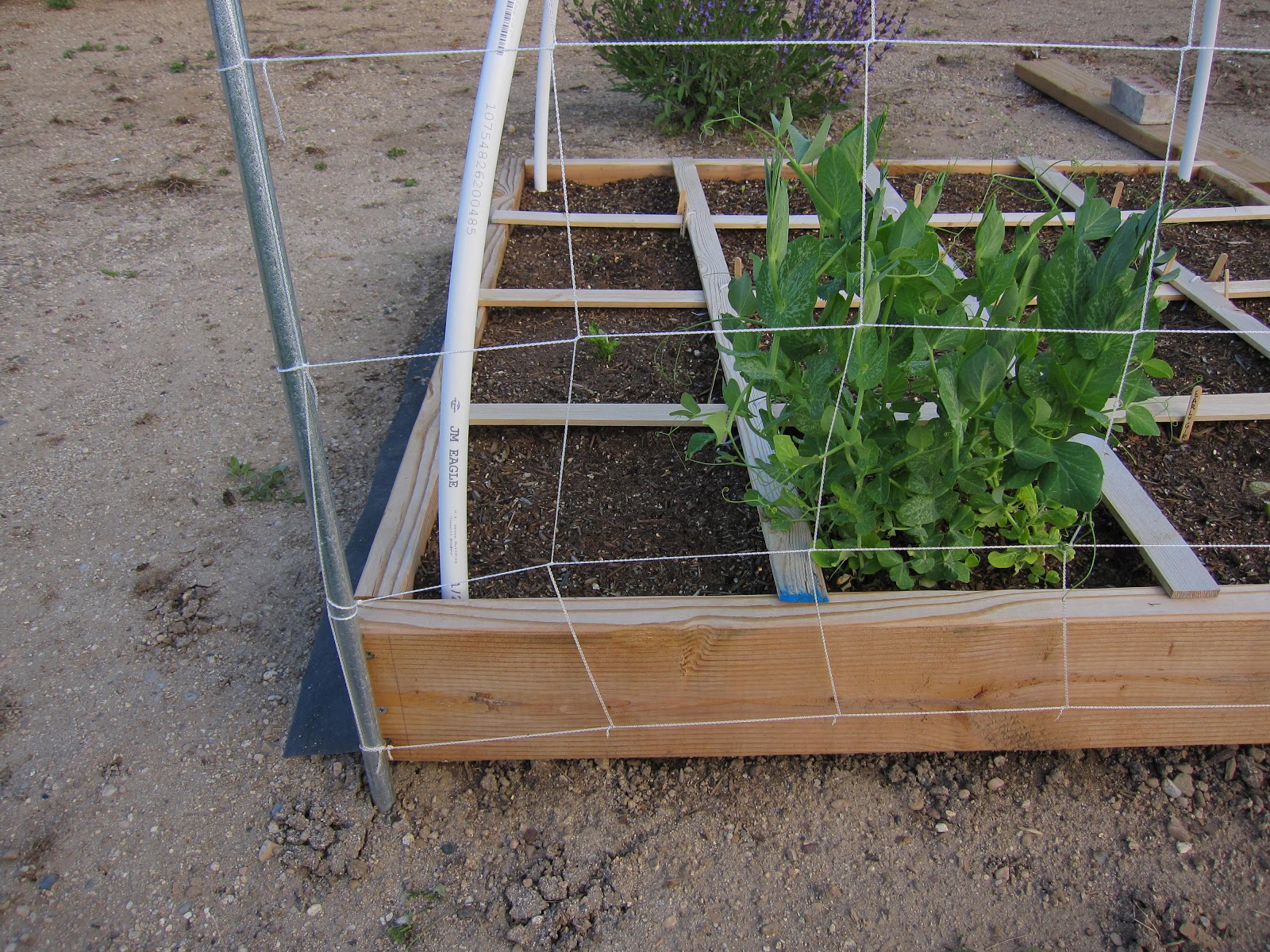 In My League: Building a Square Foot Garden Trellis