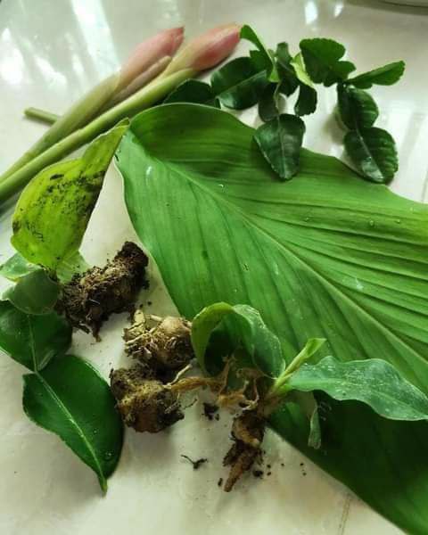 photo6258084619962396712.jpg (480×600)