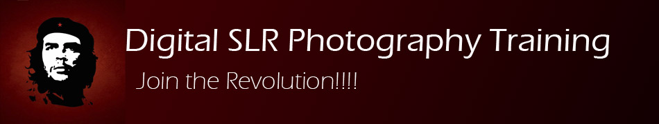 Digital SLR Photography Training