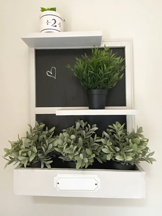 black and white shelf filled with plants