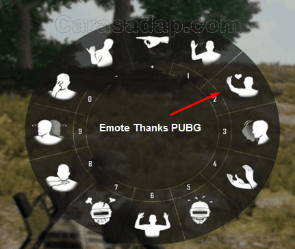 Emote Terima kasih PUBG Mobile