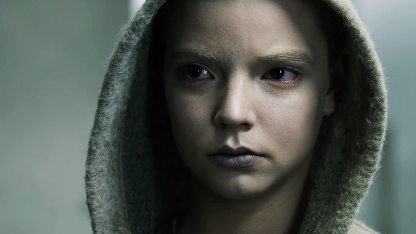 Crítica do filme Guia do Cinéfilo