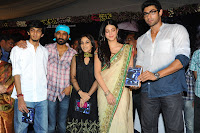 Three Audio Launch Gallery [Andhrula Music]