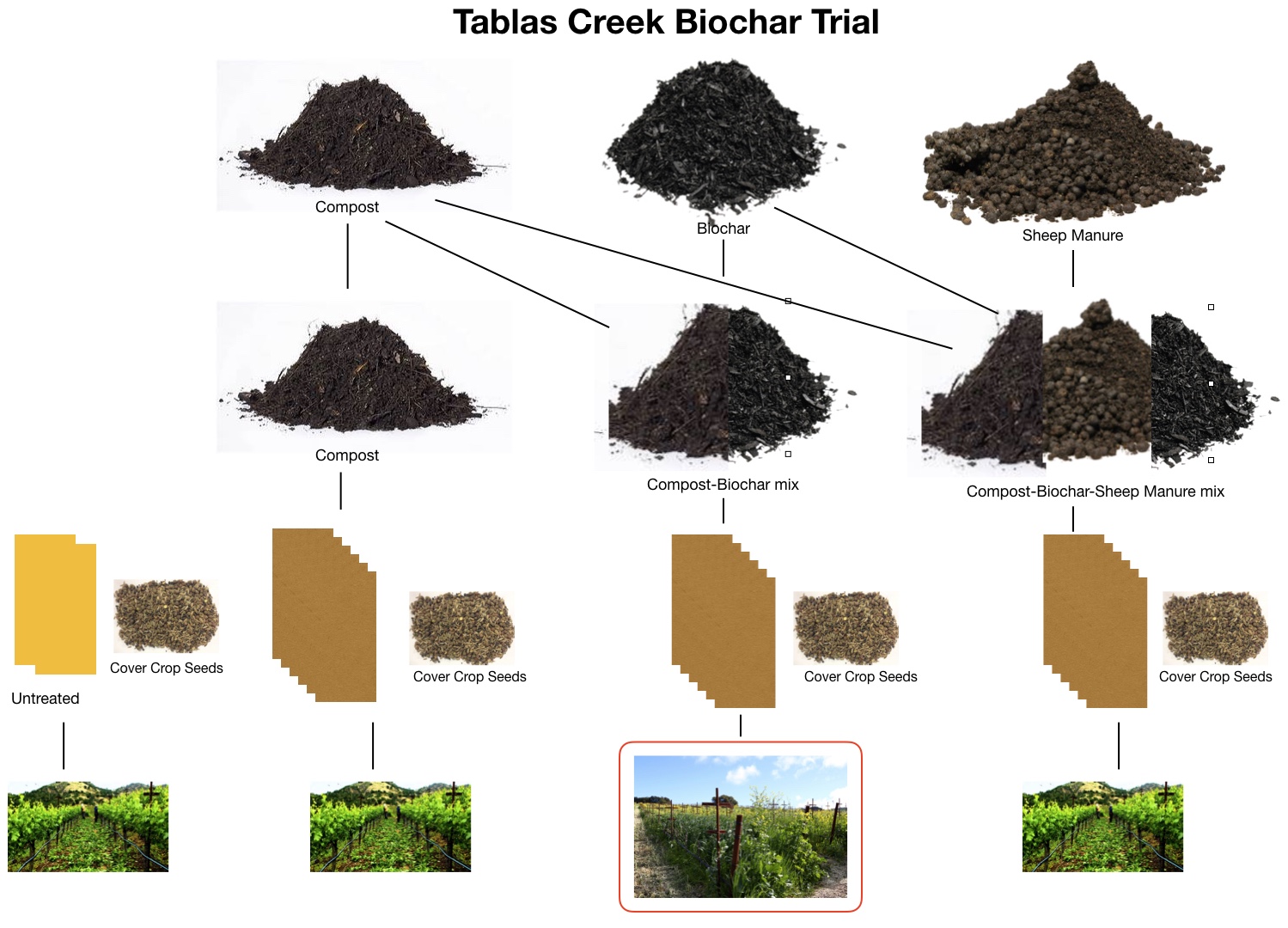 Wine Mise en abyme Biochar testing and use in Tablas Creek's