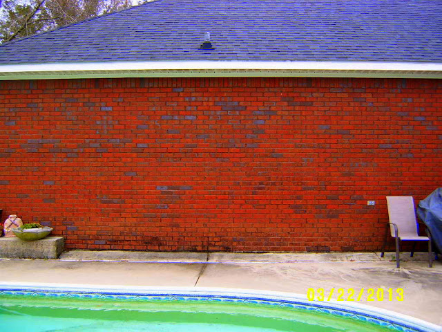 Alabama Rose and Flower Garden from a Non-Green Thumb: Outdoor Wall Art