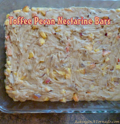 Toffee Pecan Nectarine Bars, lower in fat and sugar than most dessert bars while still satisfying that sweet tooth. A perfect summer treat. | Recipe developed by www.BakingInATornado.com | #recipe #bake