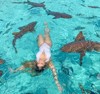 Digital influencer leva mordida de tubarão em viagem de férias 