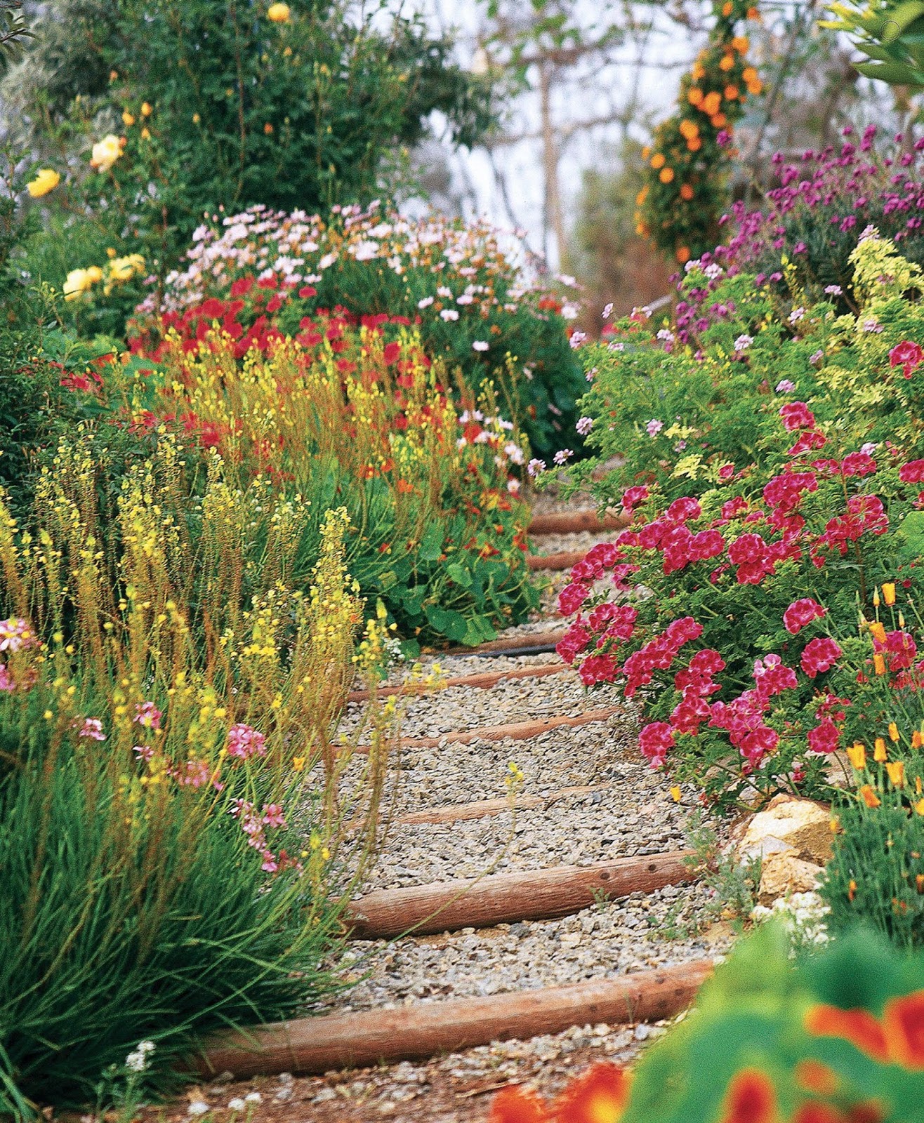 Great Idea of Front Yard That You Must Follow Great Idea of Front Yard That You Must Follow