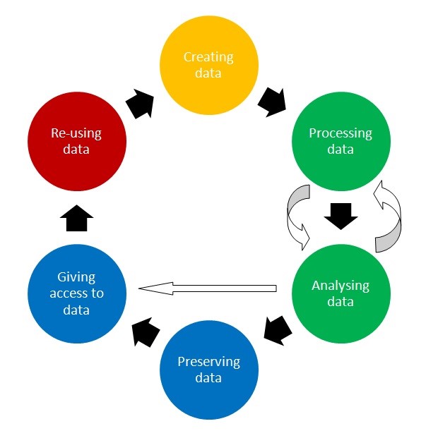 Allan's Library: When Is Research Data No Longer Useful?
