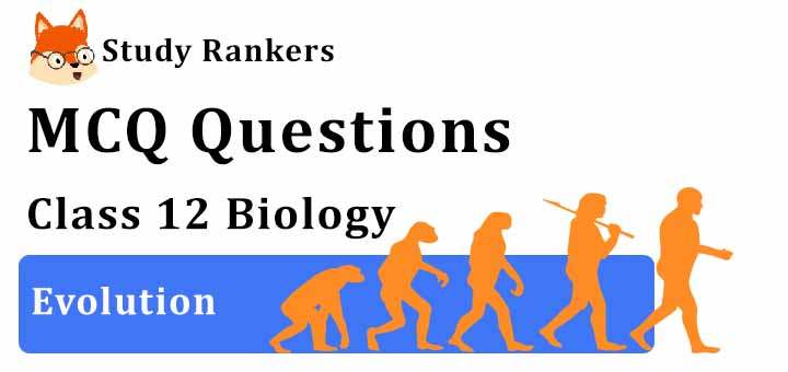 NCERT Solutions Class 12 Biology Chapter 7 - Evolution