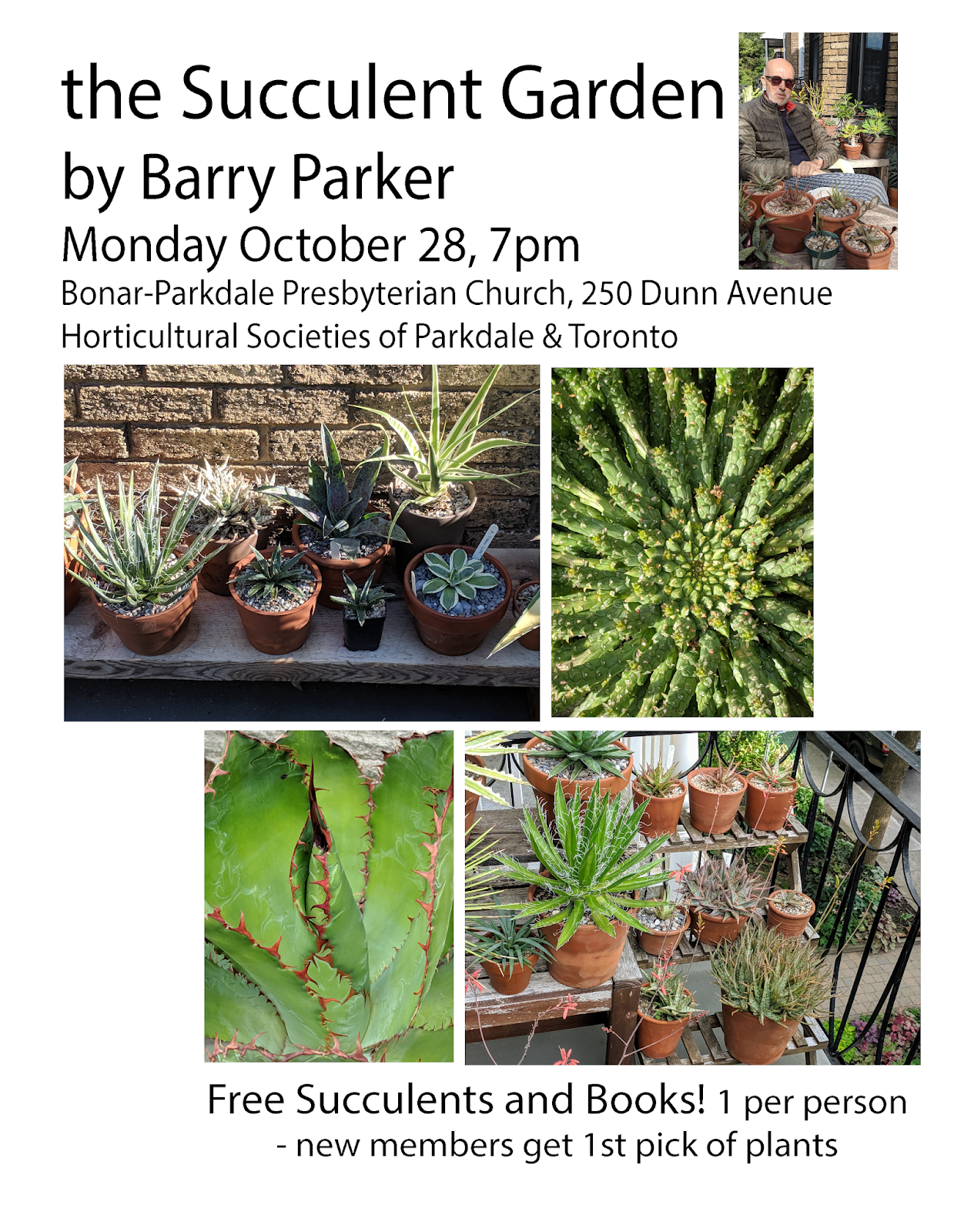 pollinator gardens Balcony and Apartment Gardens with Succulents