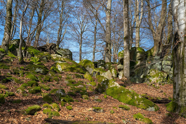 Felsentour Herbstein | Extratour Vogelsberg | Wandern in Hessen 27