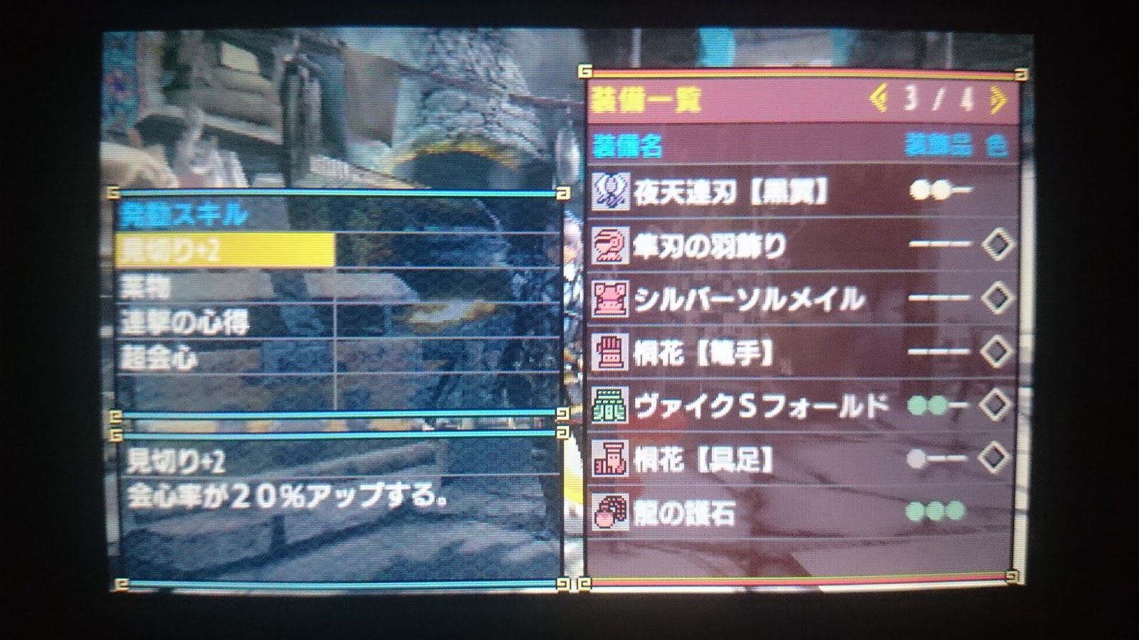 ころも S House Mhx 会心特化ナルガ双剣装備 並おま