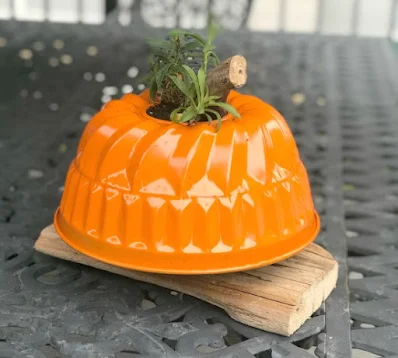 bundt pan pumpkin with plant