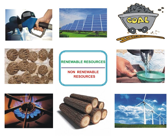 Renewable And Nonrenewable Resources Worksheet