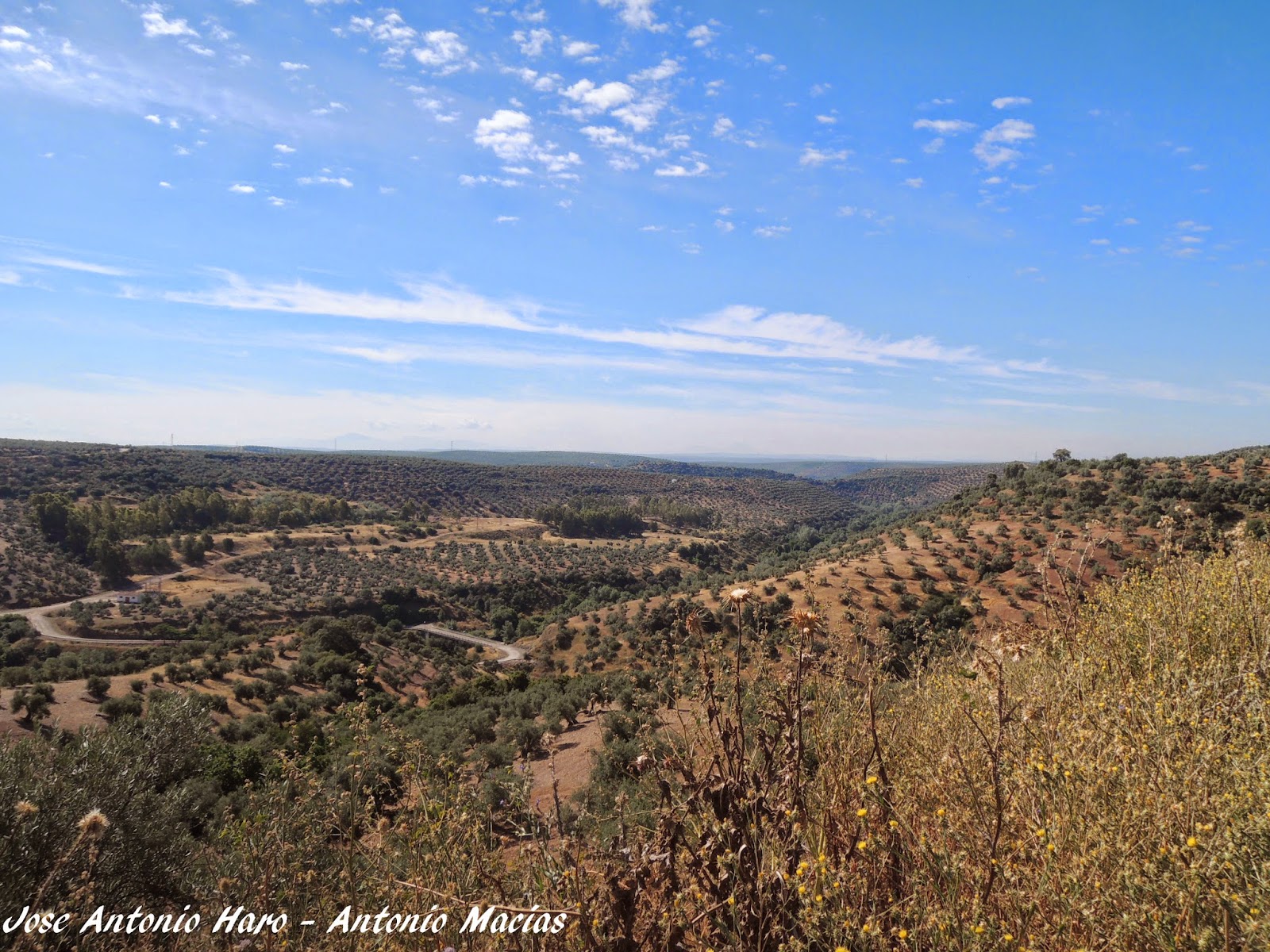 RioYeguas Embalse del Yeguas