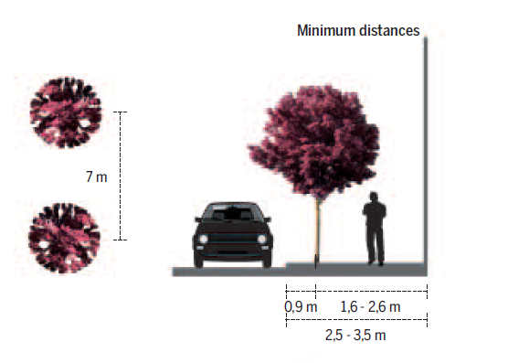 [Urban design] Management of street trees in Barcelona 