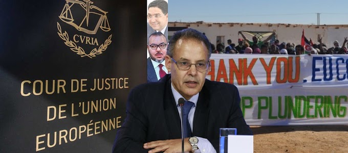 La sentencia establece específicamente que el Frente Polisario es el representante legítimo del pueblo saharaui ante los tribunales europeos.