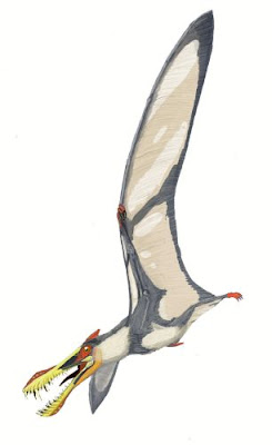 Liaoningopterus