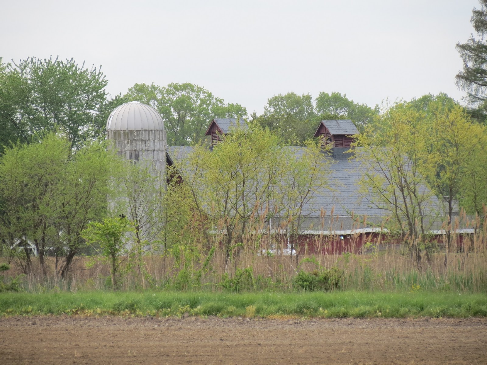 Viewing nature with Eileen Swan Harbor Farms