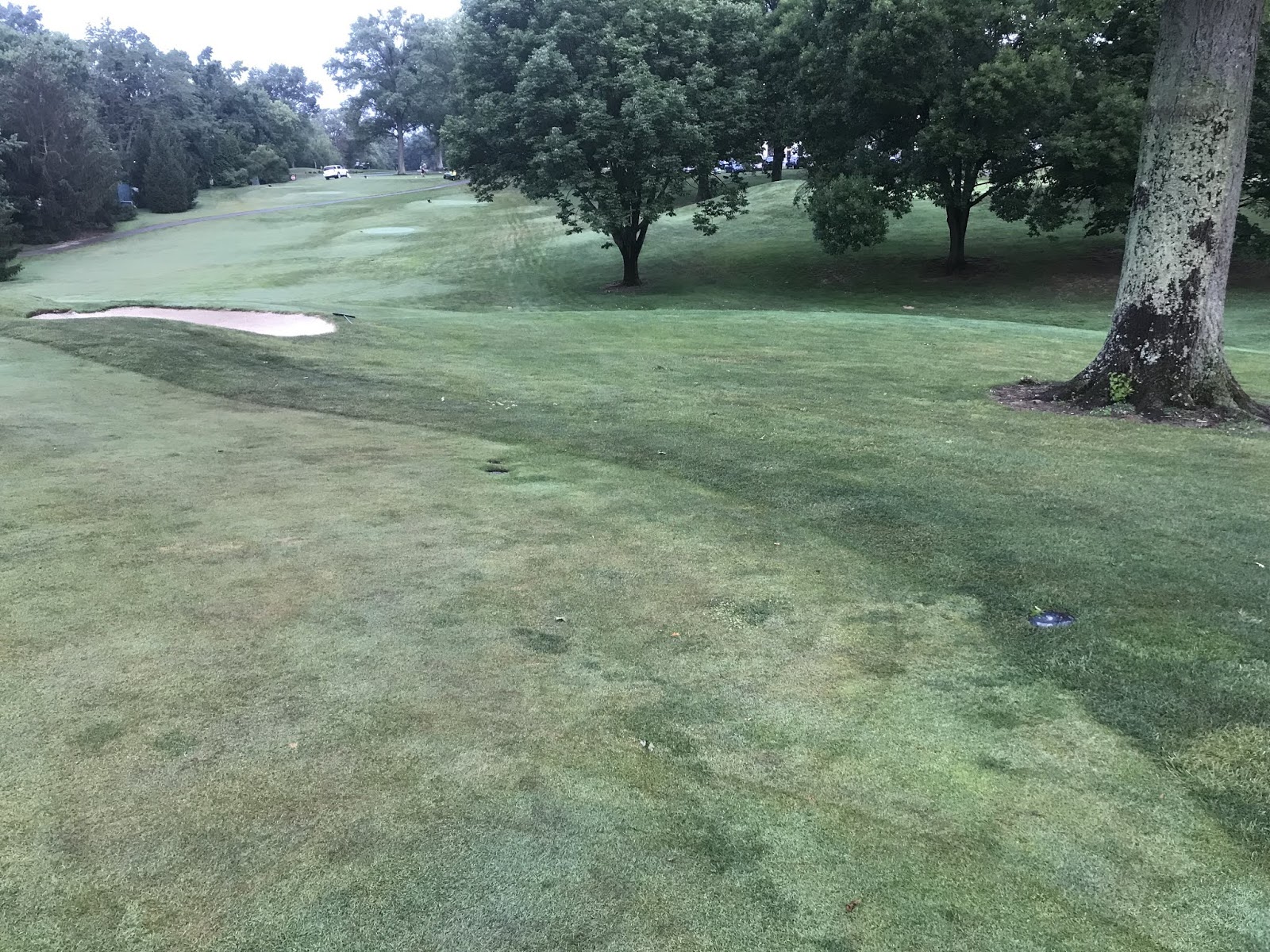 Western Hills Country Club Grounds September 2019