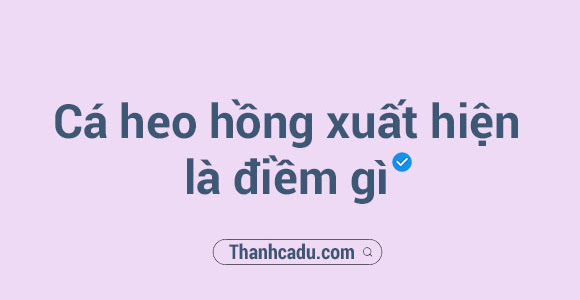 Cá heo hồng xuất hiện là điềm gì?