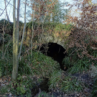 An old stone drainage tunnel, draining water from nearby fields into the River Almond, near Cramond, Edinburgh.  Photo by Kevin Nosferatu for the Skulferatu Project