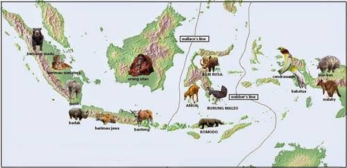 TELUSUR GEO FLORA DAN FAUNA DI INDONESIA DAN DUNIA