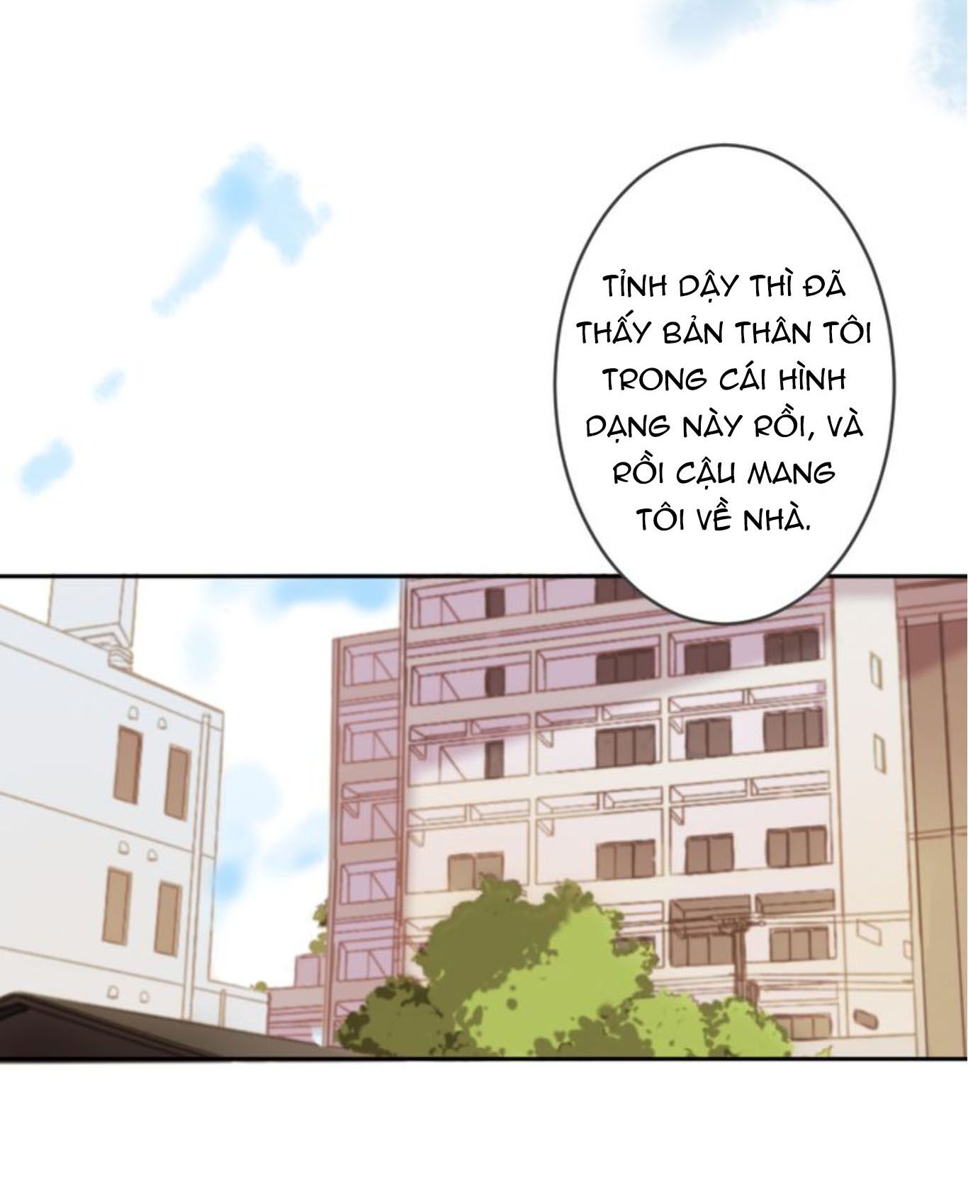 Đọc truyện Thế giới của một chú mèo - Chapter 7
