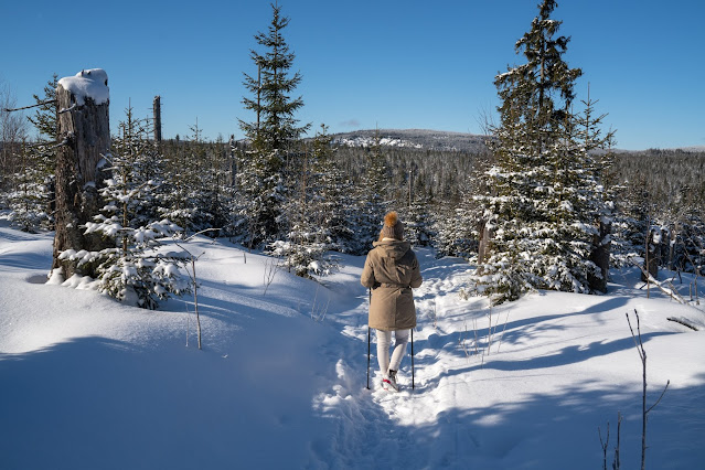 Winterwandern Mauth-Finsterau  Reschbachklause – Siebensteinkopf  Nationalpark Bayerischer Wald 12