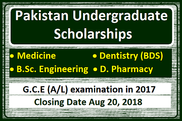 Pakistan Undergraduate Scholorship