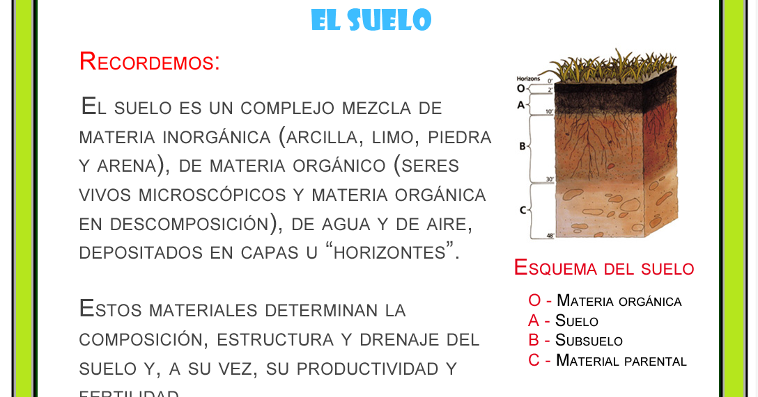 Capas Del Suelo Concepto Estratos Tipos