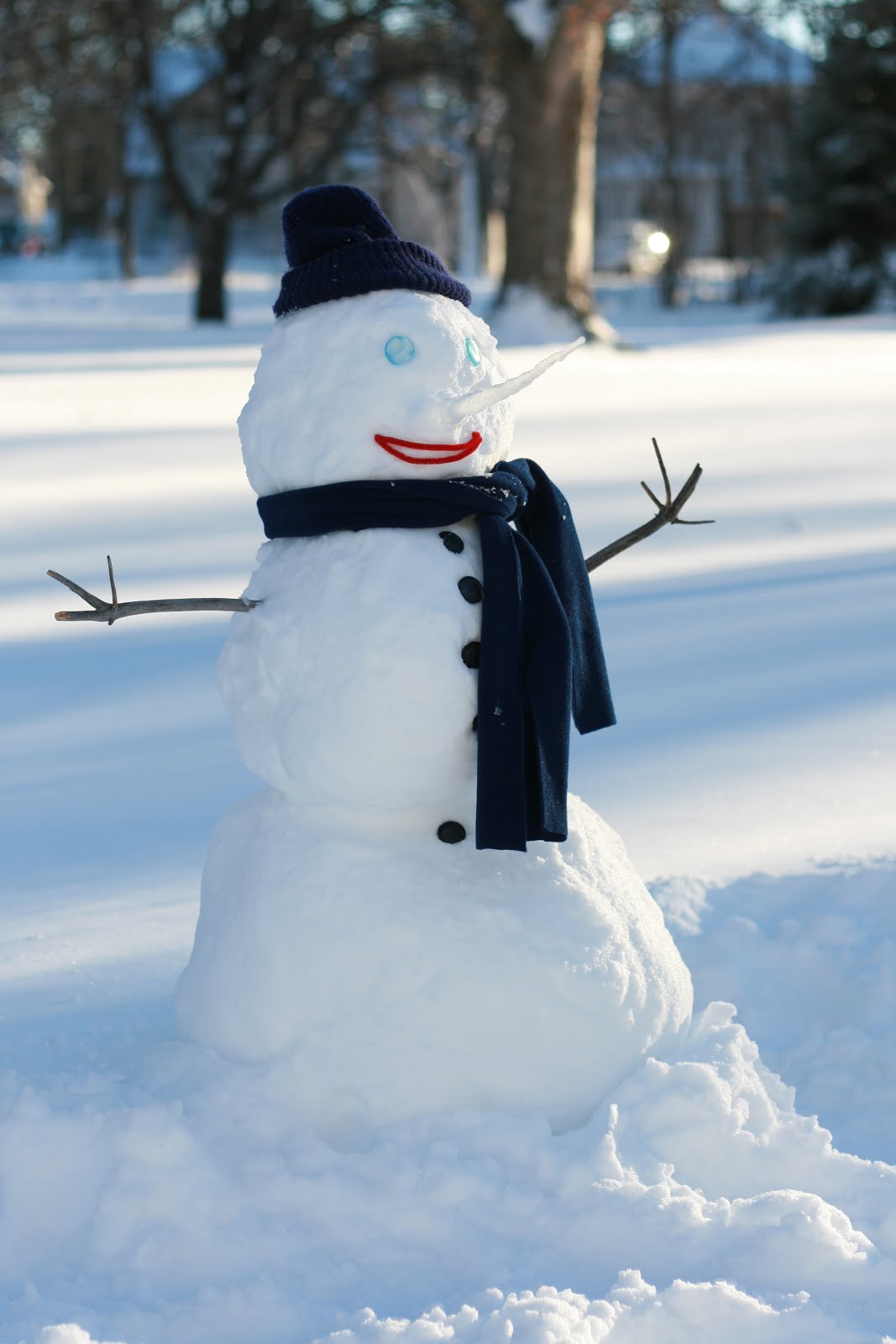 Quietude: The first snowman