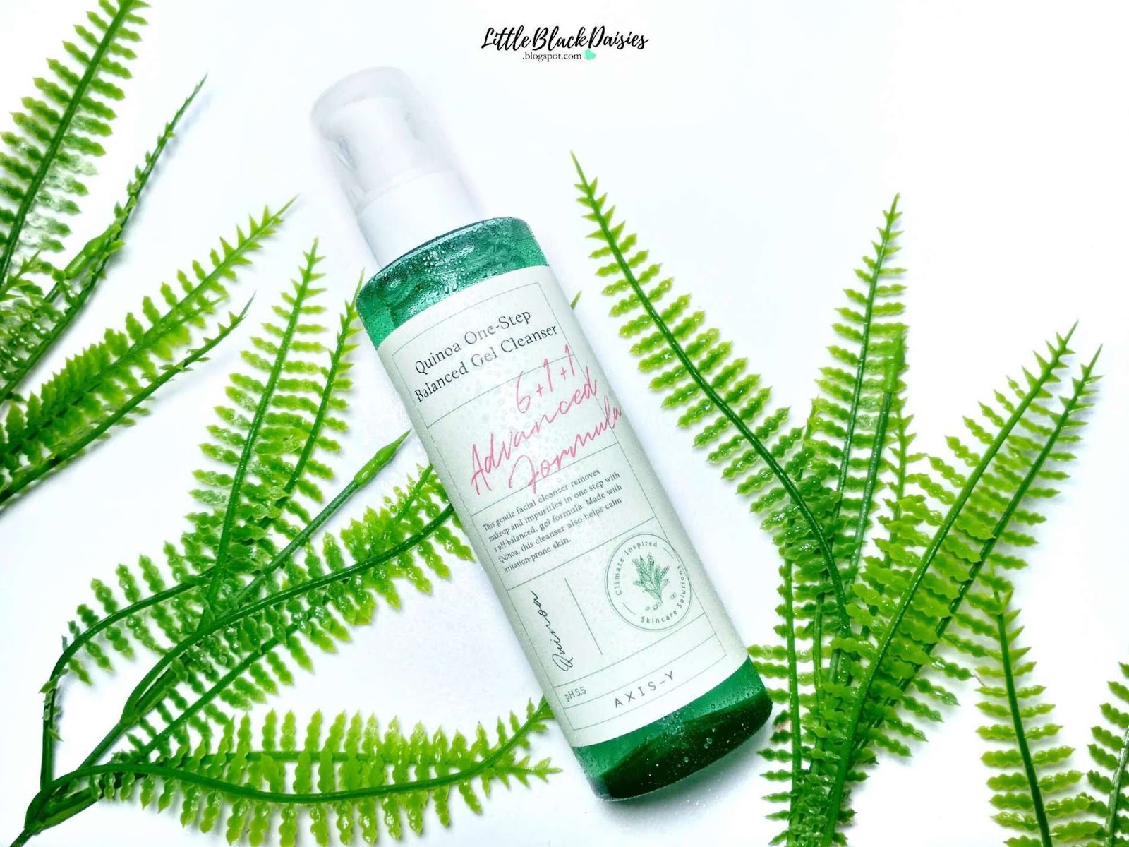 AXISY QUINOA ONESTEP BALANCED GEL CLEANSER REVIEW Little Black Daisies