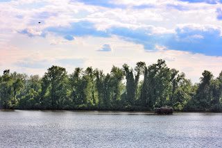 islands in the Susquehanna near Turkey Hill