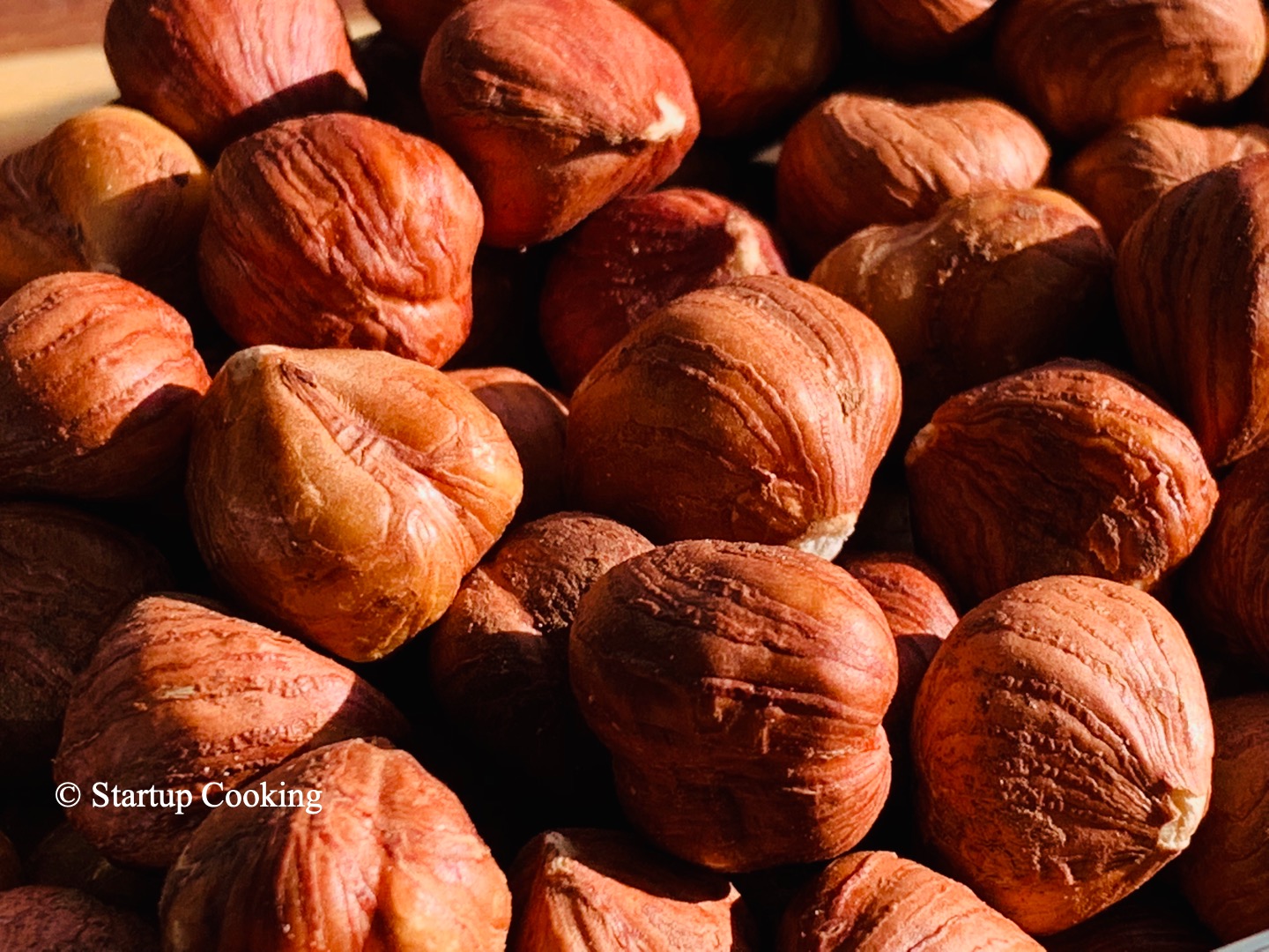 Hazelnuts Complete Guide to Hazelnuts Health Benefits and Nutrition of Hazelnuts Startup