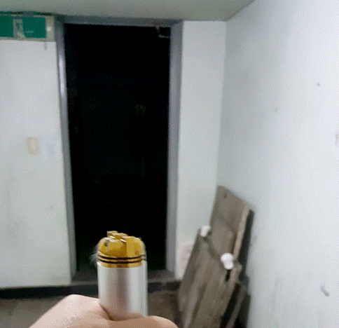 1d0.gif