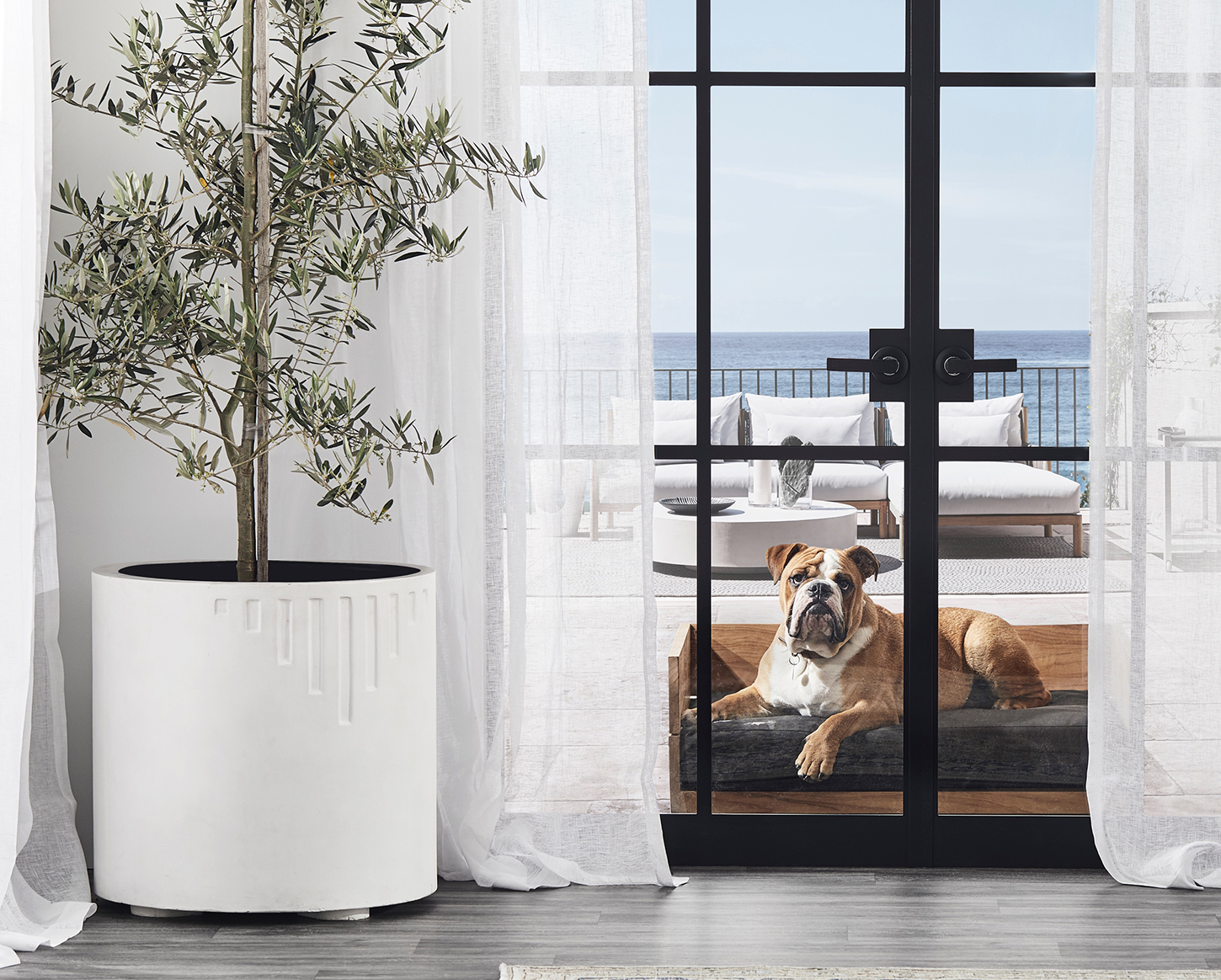 Coco Republic releases a collection for pets Australian Dog Lover