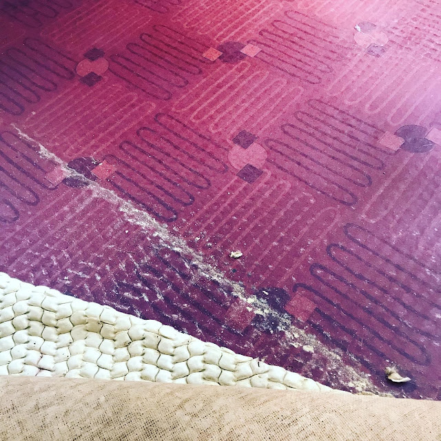 Finding 1950s flooring under shag carpet