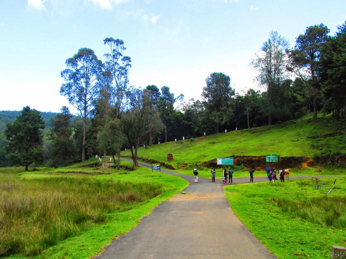 Kodaikanal the Princess of Hill Stations