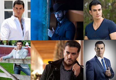 Las Mejores Telenovelas de David Zepeda