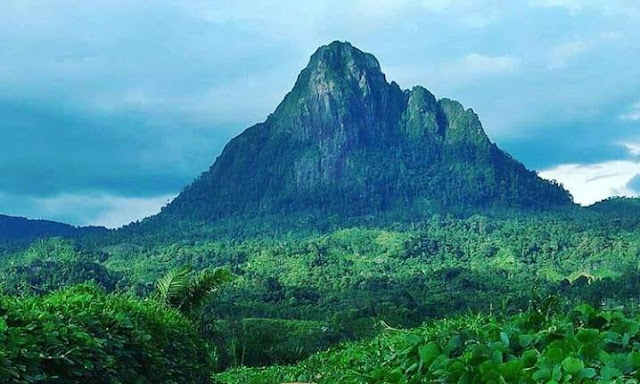 Gunung Bungkuk, Desa Komering, Kecamatan Merigi Sakti, Kabupaten Bengkulu Tengah