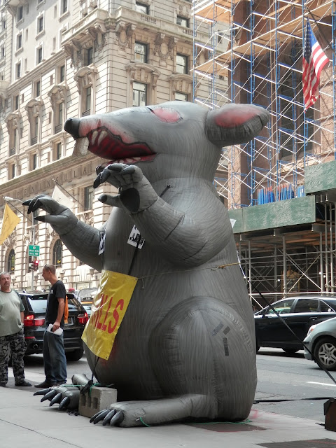 rat géant 5ème avenue