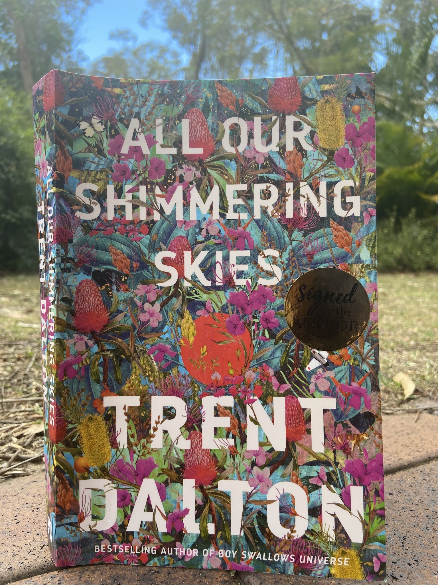 Michelle Worthington Author Book Review All Our Shimmering Skies by Trent Dalton