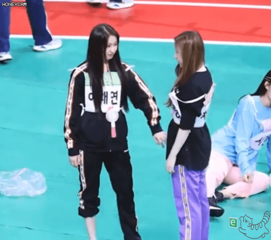 털자매 채연 채령