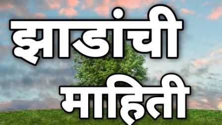 tree information in marathi | झाडांची माहिती | झाडांचे महत्त्व