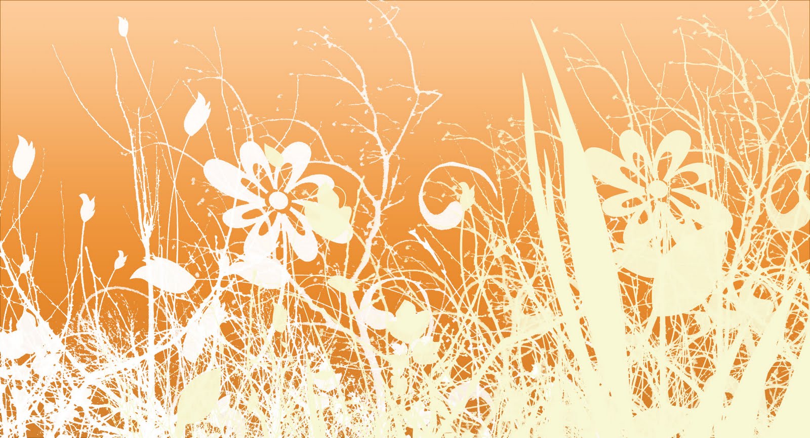 orange flower background My Wallpaper Home